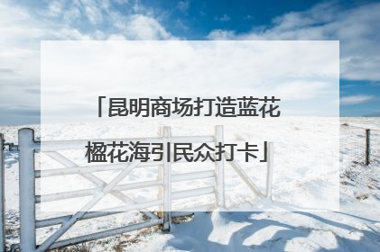 昆明商场打造蓝花楹花海引民众打卡