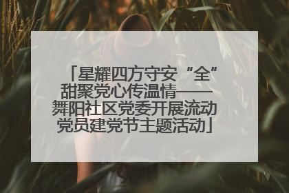 星耀四方守安“全” 甜聚党心传温情——舞阳社区党委开展流动党员建党节主题活动