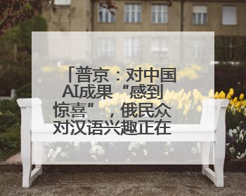 普京：对中国AI成果“感到惊喜”，俄民众对汉语兴趣正在增加