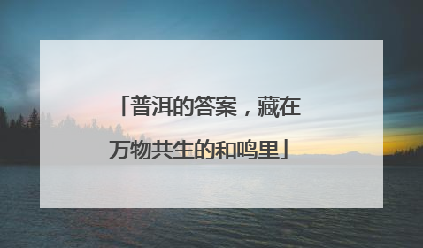普洱的答案，藏在万物共生的和鸣里