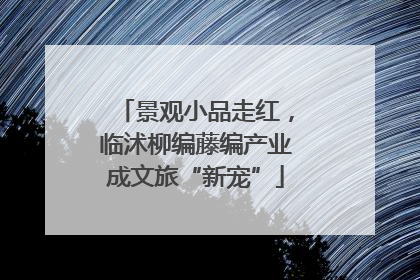景观小品走红，临沭柳编藤编产业成文旅“新宠”