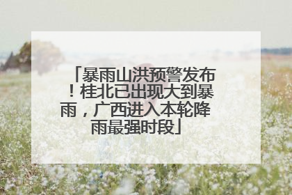 暴雨山洪预警发布！桂北已出现大到暴雨，广西进入本轮降雨最强时段