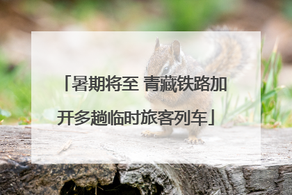暑期将至 青藏铁路加开多趟临时旅客列车