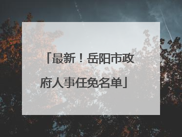 最新！岳阳市政府人事任免名单