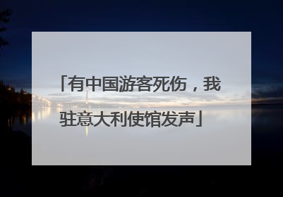 有中国游客死伤，我驻意大利使馆发声