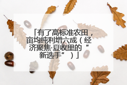 有了高标准农田，亩均纯利增六成（经济聚焦·夏收里的“新选手”）