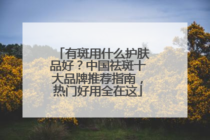 有斑用什么护肤品好？中国祛斑十大品牌推荐指南，热门好用全在这