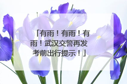 有雨！有雨！有雨！武汉交警再发考前出行提示！