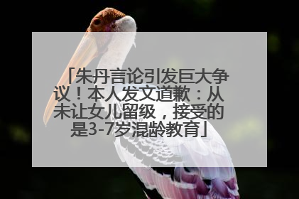 朱丹言论引发巨大争议！本人发文道歉：从未让女儿留级，接受的是3-7岁混龄教育