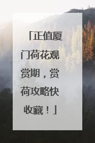 正值厦门荷花观赏期，赏荷攻略快收藏！