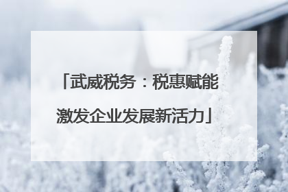 武威税务：税惠赋能 激发企业发展新活力