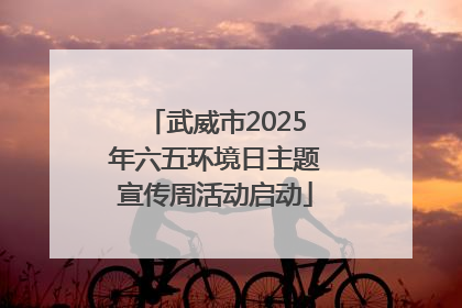 武威市2025年六五环境日主题宣传周活动启动