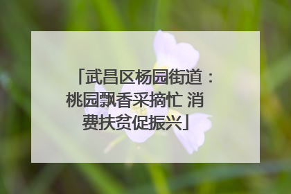 武昌区杨园街道：桃园飘香采摘忙 消费扶贫促振兴