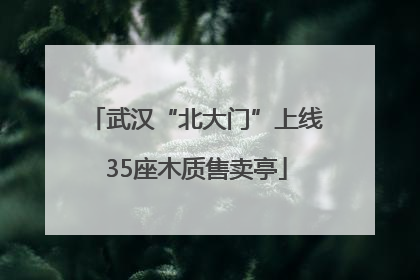 武汉“北大门”上线35座木质售卖亭