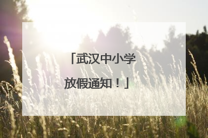 武汉中小学放假通知！