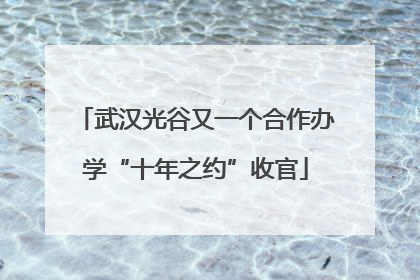 武汉光谷又一个合作办学“十年之约”收官