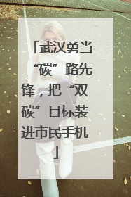 武汉勇当“碳”路先锋，把“双碳”目标装进市民手机