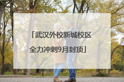 武汉外校新城校区全力冲刺9月封顶
