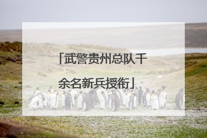 武警贵州总队千余名新兵授衔