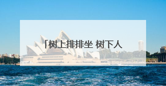 树上排排坐 树下人挤人！厦大校园来了一窝猫头鹰引围观