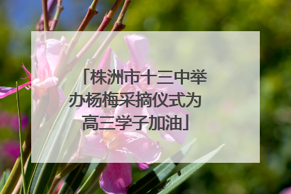 株洲市十三中举办杨梅采摘仪式为高三学子加油