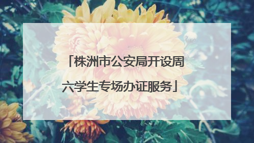 株洲市公安局开设周六学生专场办证服务
