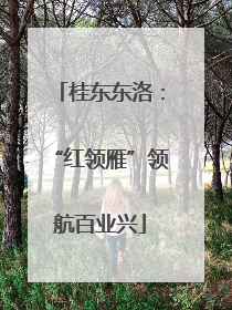 桂东东洛：“红领雁”领航百业兴