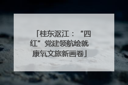 桂东沤江：“四红”党建领航绘就康氧文旅新画卷