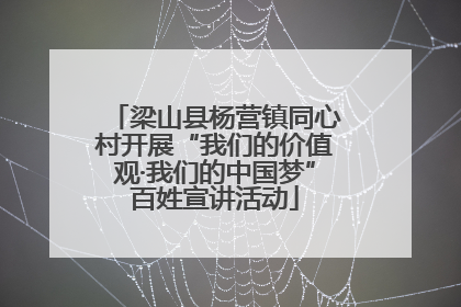 梁山县杨营镇同心村开展“我们的价值观·我们的中国梦”百姓宣讲活动
