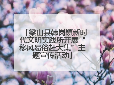 梁山县韩岗镇新时代文明实践所开展“移风易俗赶大集”主题宣传活动