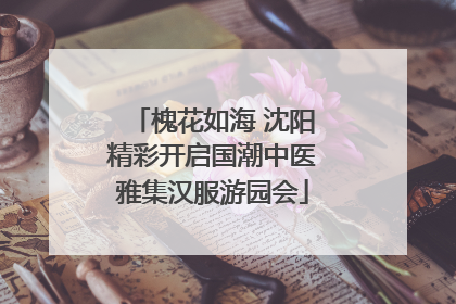 槐花如海 沈阳精彩开启国潮中医雅集汉服游园会