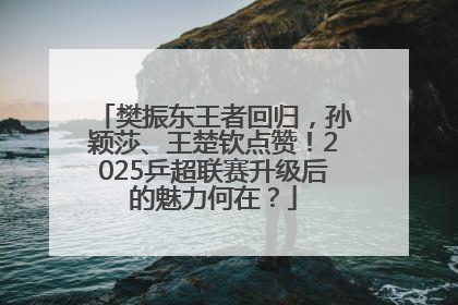 樊振东王者回归，孙颖莎、王楚钦点赞！2025乒超联赛升级后的魅力何在？