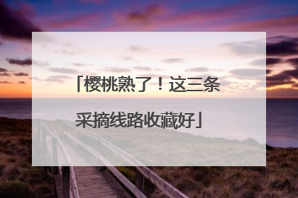 樱桃熟了！这三条采摘线路收藏好
