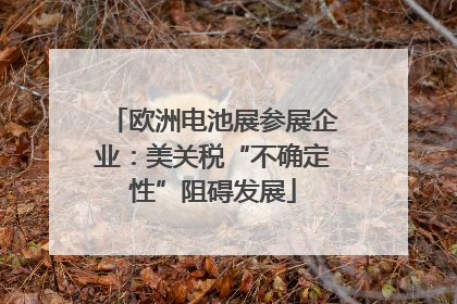 欧洲电池展参展企业：美关税“不确定性”阻碍发展