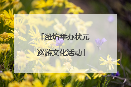 潍坊举办状元巡游文化活动