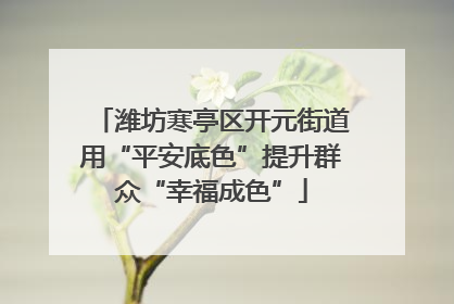 潍坊寒亭区开元街道用“平安底色”提升群众“幸福成色”