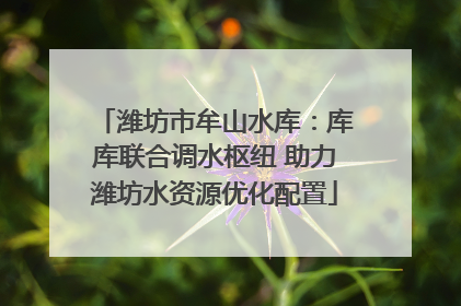 潍坊市牟山水库：库库联合调水枢纽 助力潍坊水资源优化配置