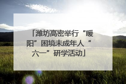潍坊高密举行“暖阳”困境未成年人“六一”研学活动