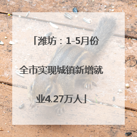 潍坊：1-5月份全市实现城镇新增就业4.27万人