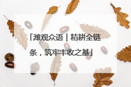 潍观众语｜精耕全链条，筑牢丰收之基