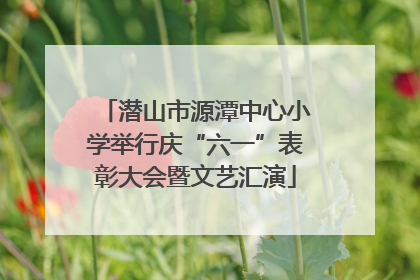 潜山市源潭中心小学举行庆“六一”表彰大会暨文艺汇演