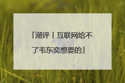 潮评丨互联网给不了韦东奕想要的