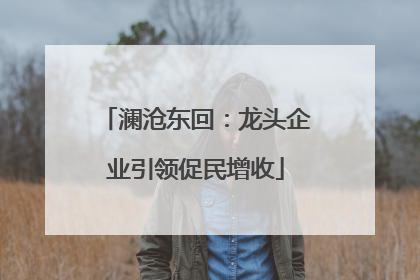 澜沧东回：龙头企业引领促民增收