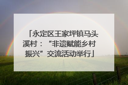 永定区王家坪镇马头溪村：“非遗赋能乡村振兴”交流活动举行