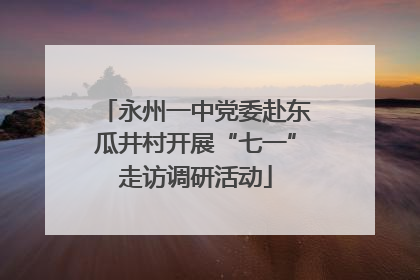 永州一中党委赴东瓜井村开展“七一”走访调研活动