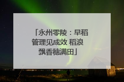 永州零陵：早稻管理见成效 稻浪飘香穗满田