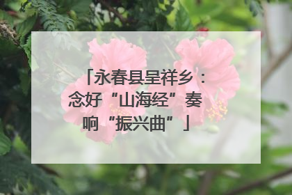 永春县呈祥乡：念好“山海经”奏响“振兴曲”
