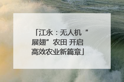 江永：无人机“展翅”农田 开启高效农业新篇章