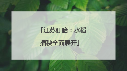 江苏盱眙：水稻插秧全面展开