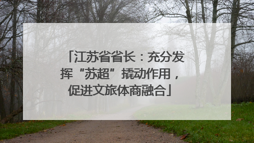 江苏省省长：充分发挥“苏超”撬动作用，促进文旅体商融合